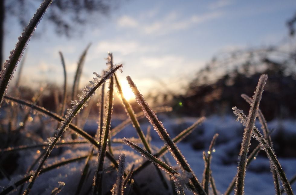 Klimatångest – så här hanterar du den