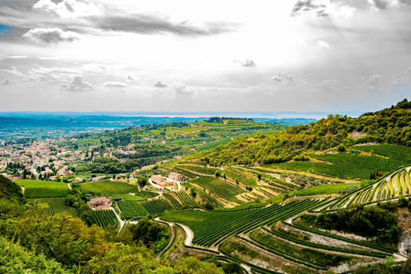 Från Amarone till Barolo