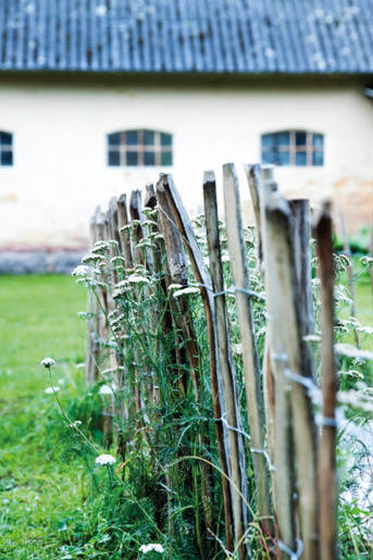 Anlägg en frodig köksträdgård - skörda grönsaker hela sommaren