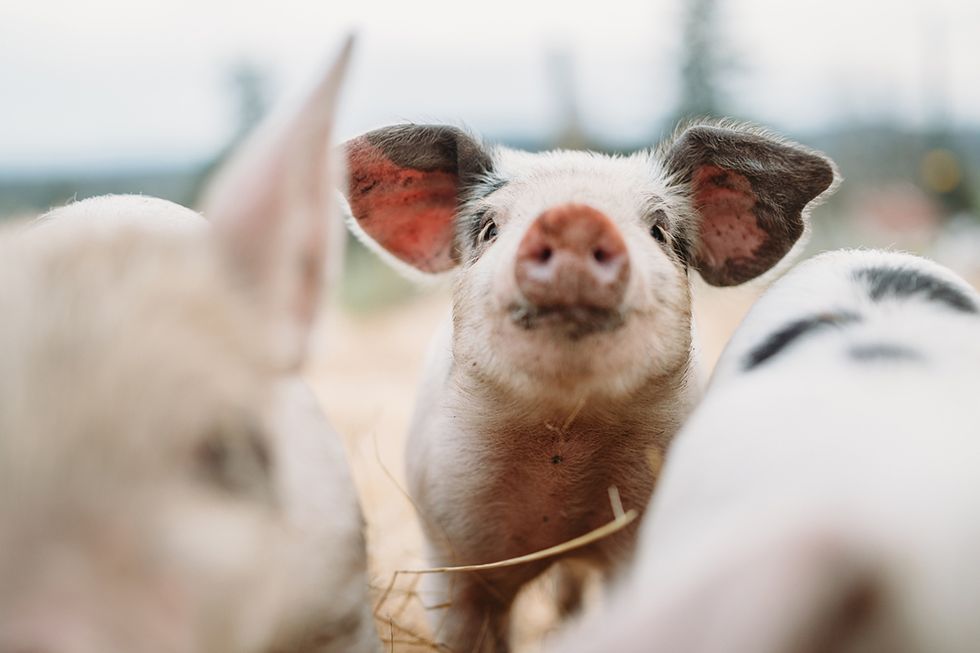 10 positiva händelser att minnas från 2019