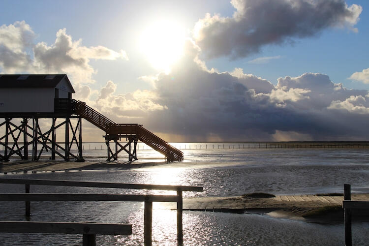 Upplev naturen i tyska Schleswig-Holstein