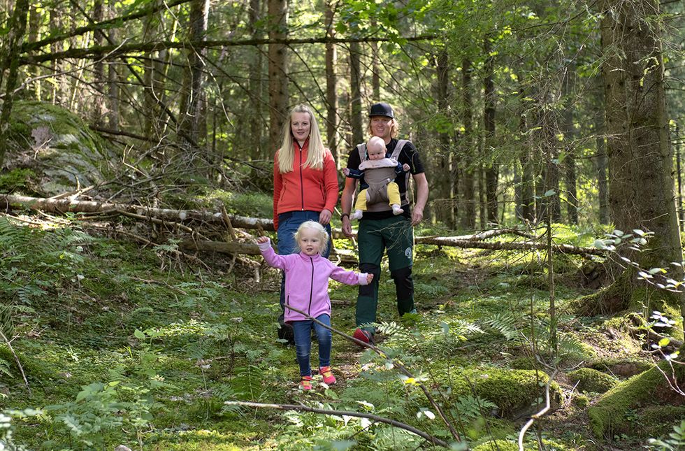 Planera årets ”hemester”