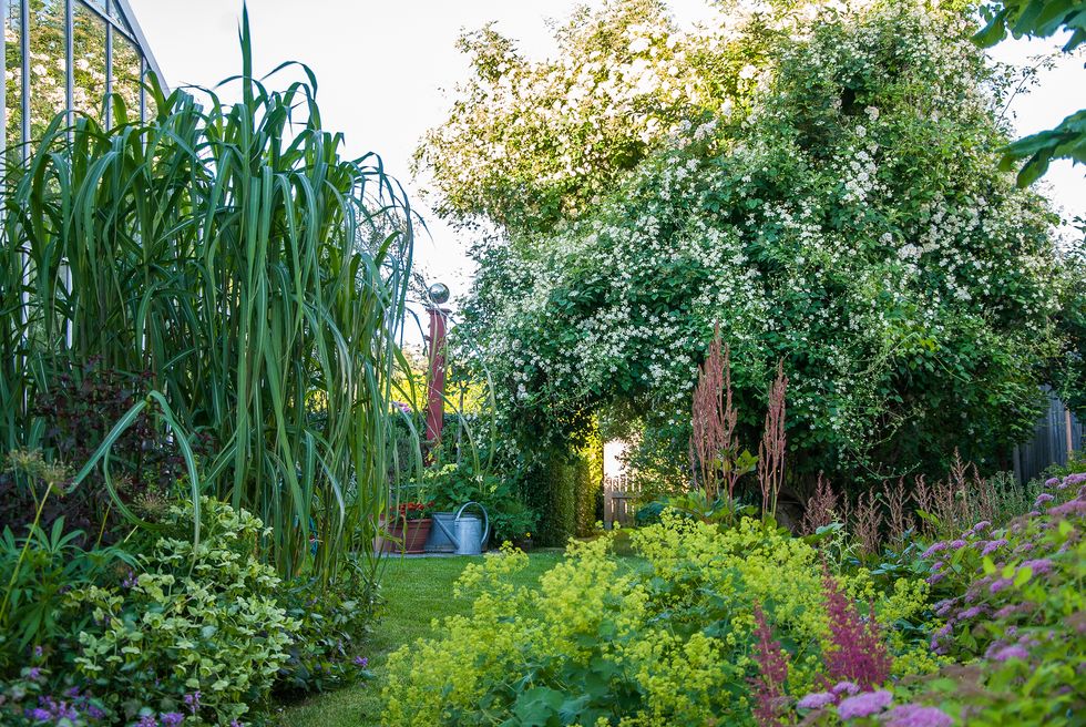 Blomsterprakt, pool, grönska, växthus - här är trädgården att drömma om!