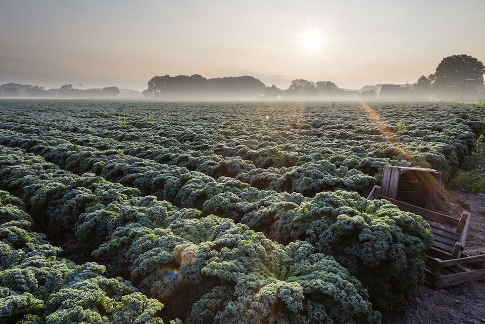 Upplev vintern i härliga Niedersachsen