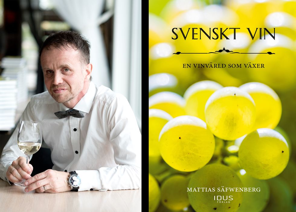 Skördefest på vingårdarna - vi listar 9 utflyktsmål!