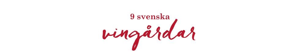 Skördefest på vingårdarna - vi listar 9 utflyktsmål!