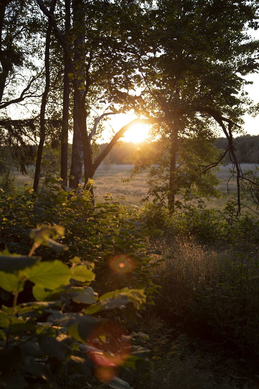 Stor guide: sköna höstdagar i vackra Sörmland