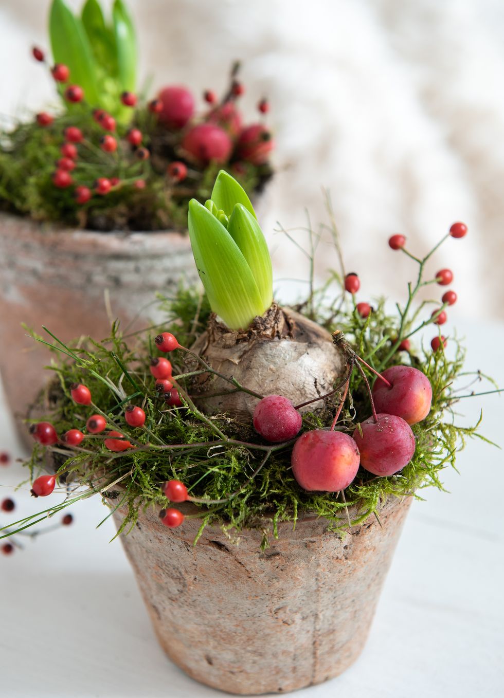 Vackert i advent - doftande hyacinter på naturligt sätt!