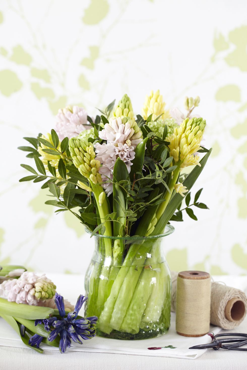 Smygstarta våren med säsongens tidiga blommor!