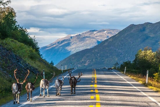 Favorit i repris! Storslagna vyer vid Höga kusten och Inlandsbanan