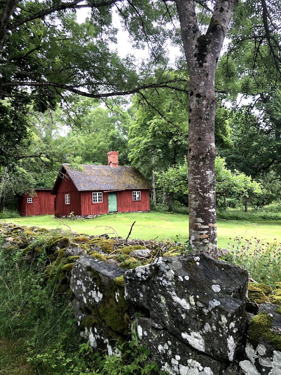 Tystnadens paradis – Rasmus Troedssons dolda pärlor i nordöstra Skåne