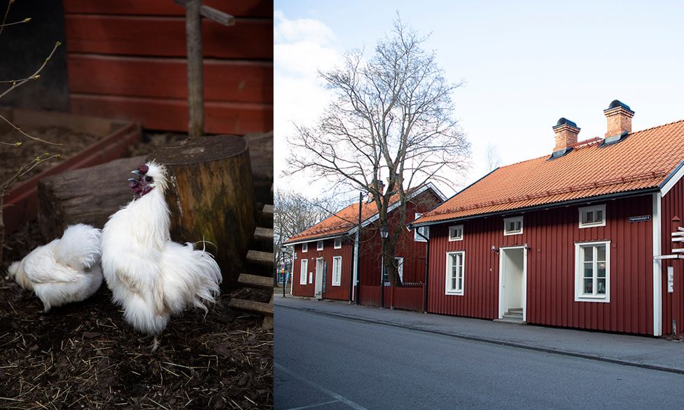 Myrene är skomakare: ”Att se slitna skor bli som nya är det bästa jag vet!”