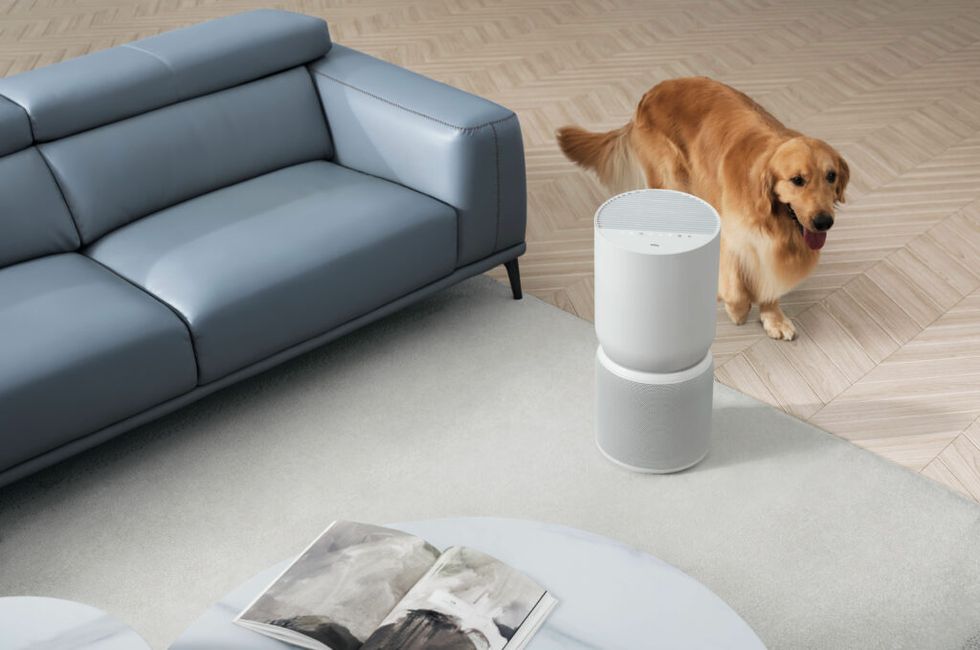 5 tips för ett renare hem – vinn prisbelönt robotdammsugare från TCL