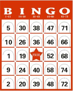 Bingo - spelet som blev en folkhemsfavorit