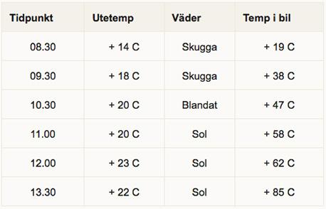 Lämna aldrig din hund i bilen