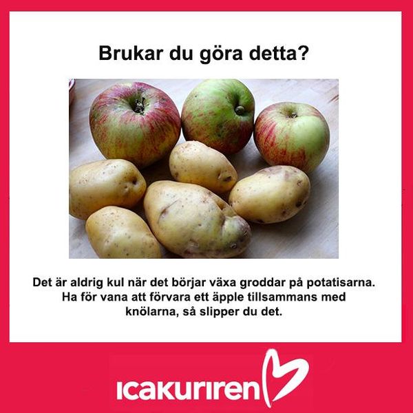 Icakurirens vardagstips