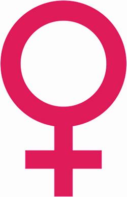 Feminism på 5 minuter