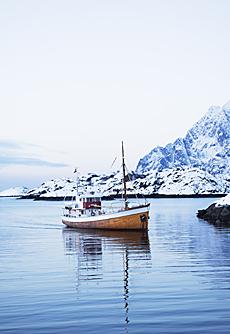 Fiska skrei i norska Lofoten