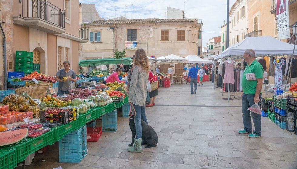 5 roliga saker för barnfamiljer att göra på Mallorca