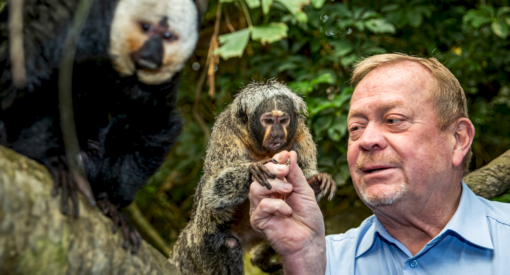 Jonas Wahlström med apor i akvariet på Skansen.