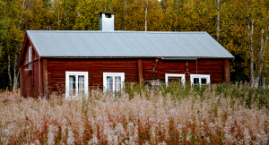Britt, 47: ”Vi syskon har slutat prata med varandra på grund av arvet”