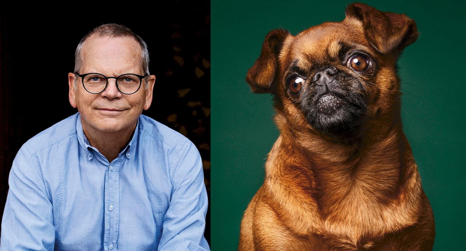 Varför lyssnar hunden med huvudet på sned? Djurprofessorn har klurat på frågan