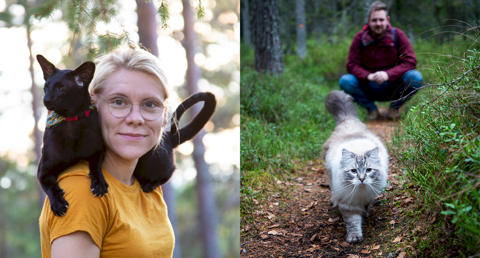 Vandra med din katt – möt katterna som älskar friluftslivet