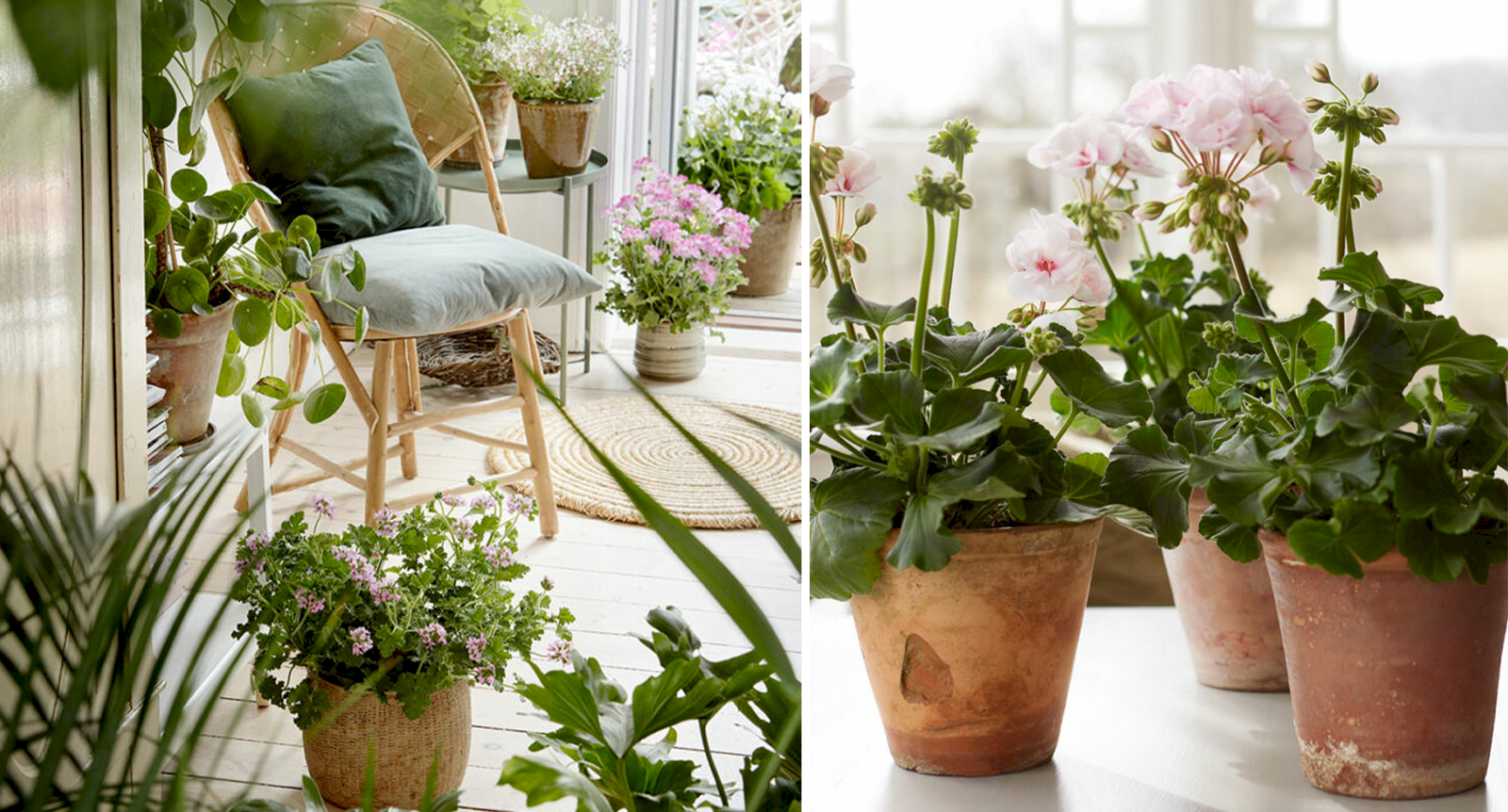 6 självbevattningstips som gör att dina växter överlever semestern