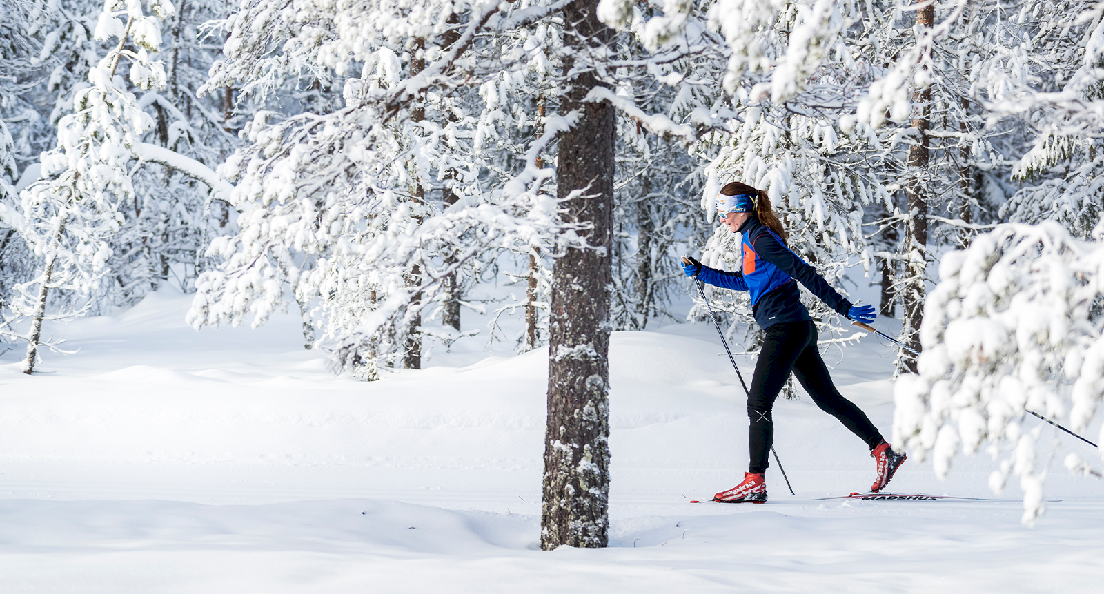 Restips: Vintermys i Grövelsjön