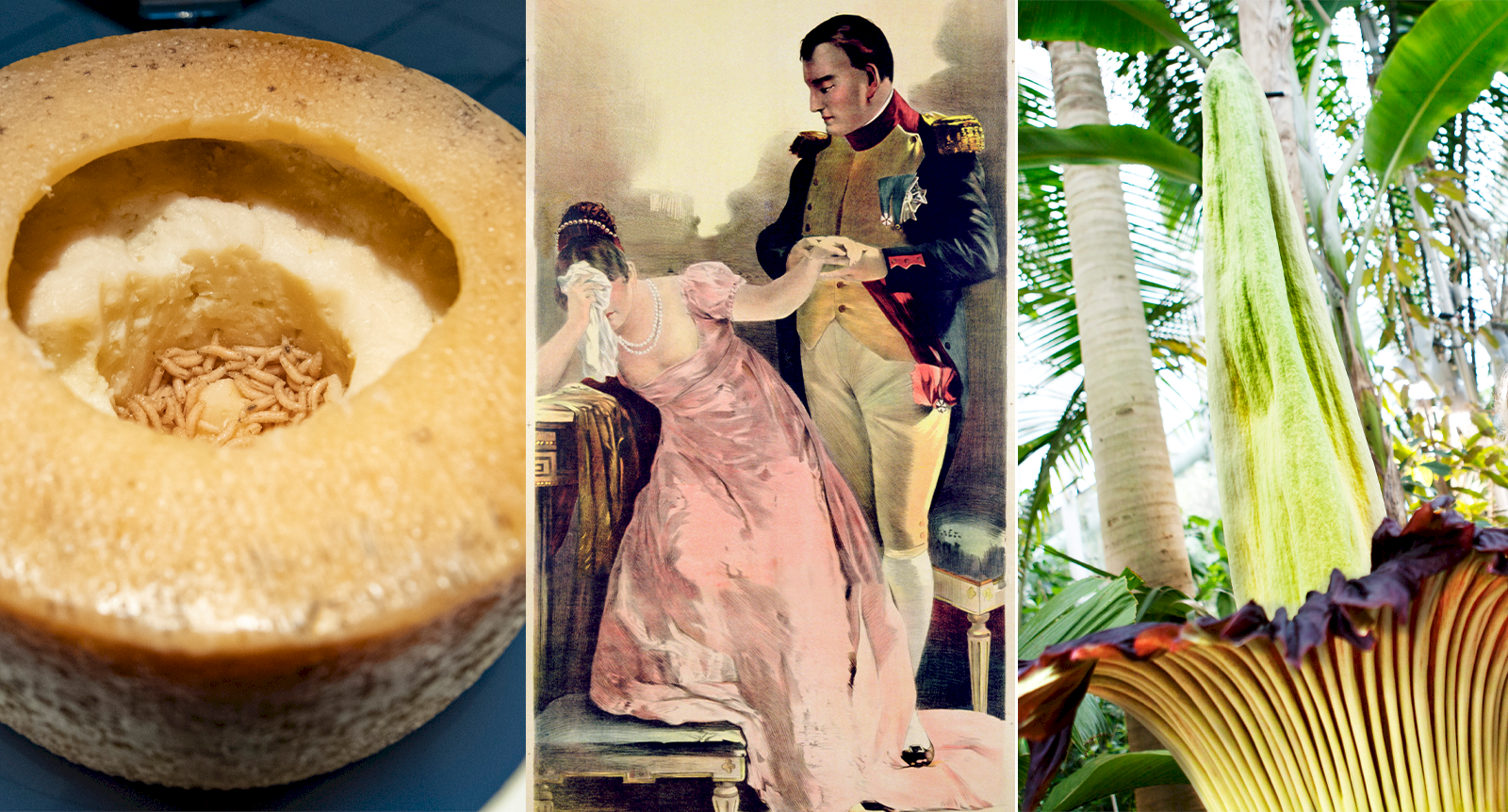 Därför blir vi äcklade – och det här äcklar oss