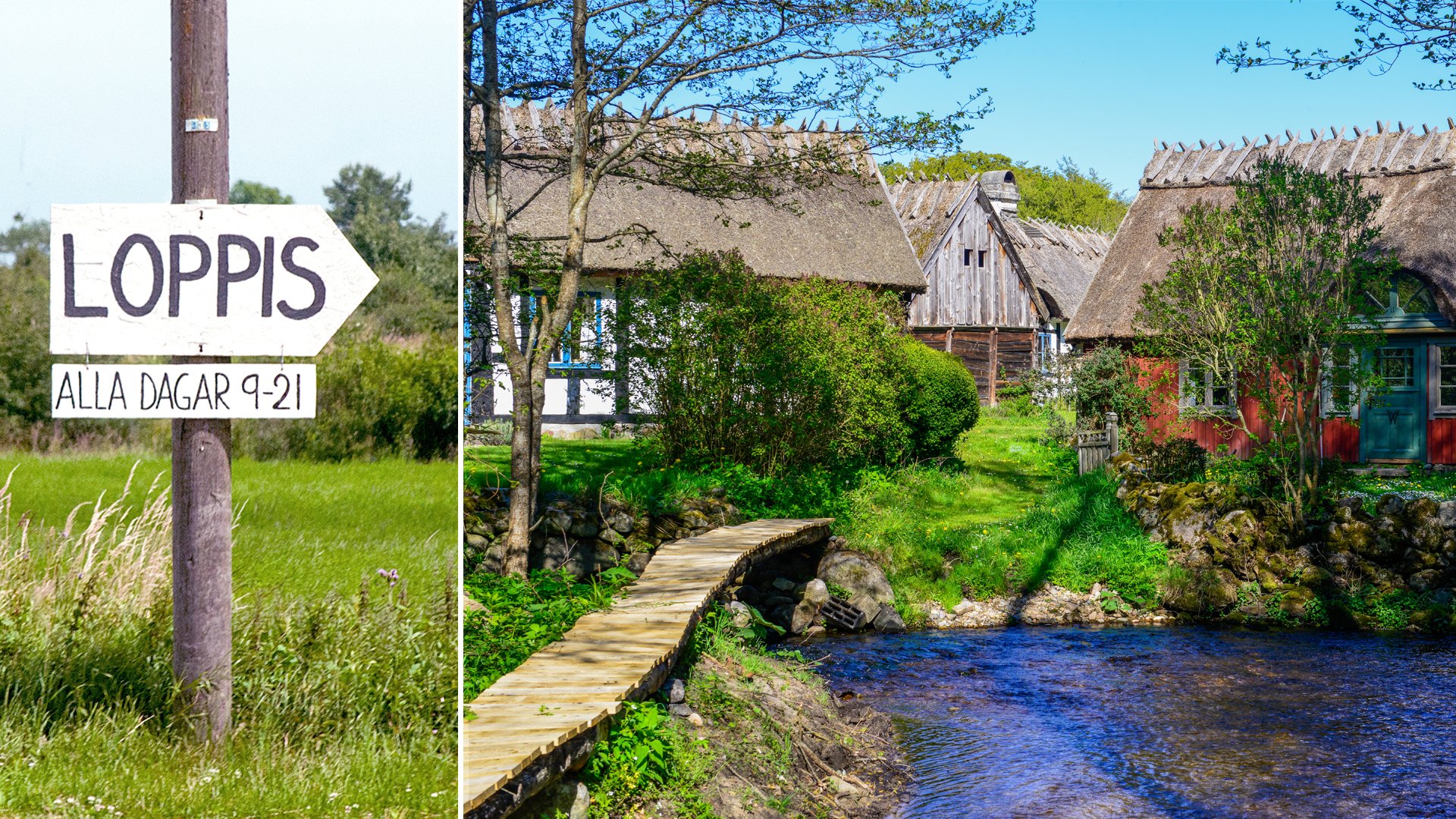 Roadtrip i Skåne – kultur, vandring och mysiga utflyktsmål