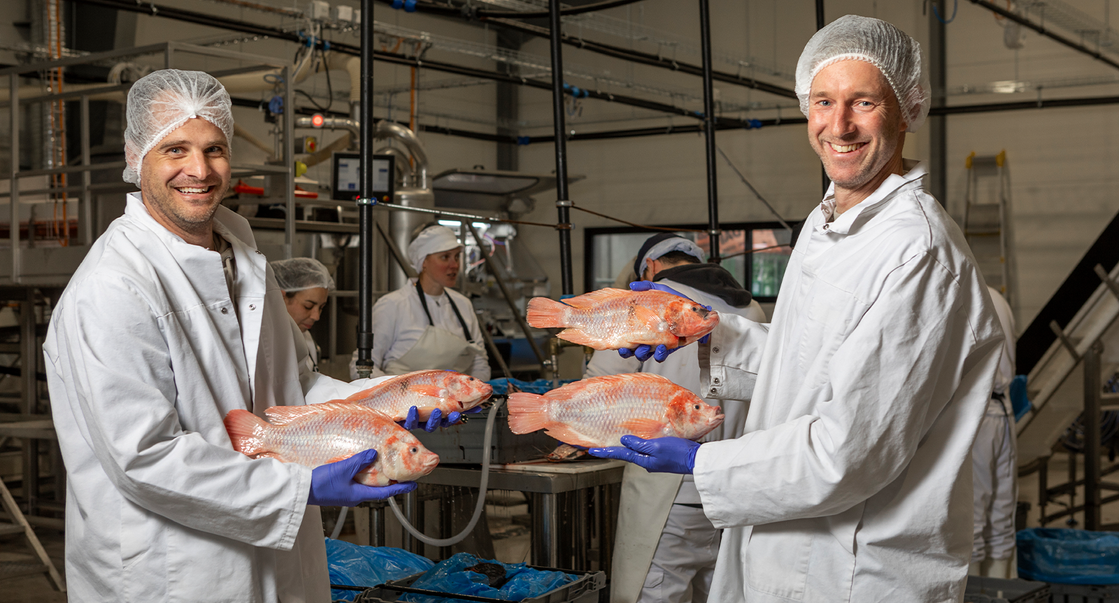 Mikael och Johan odlar fisk – och fick bönderna att tänka om