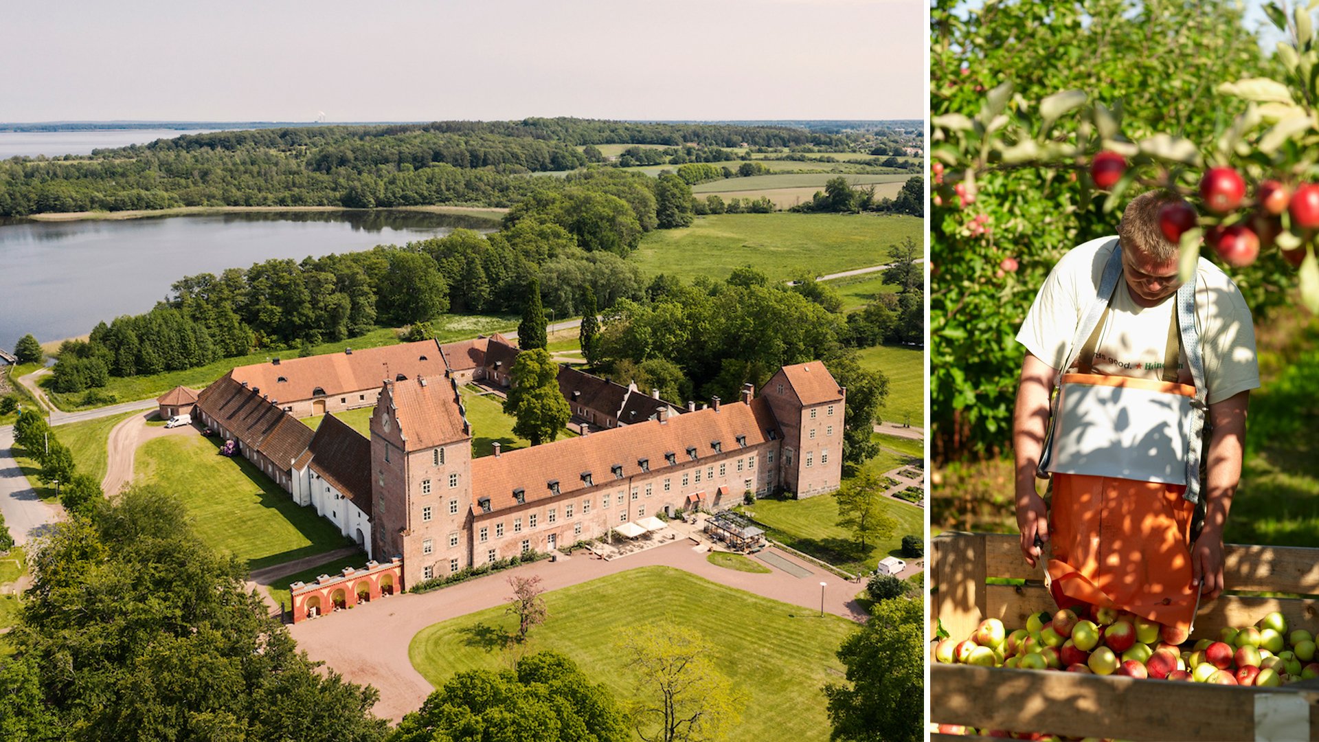 Skånsk smakresa – krogar, gårdsbutiker och evenemang du inte vill missa