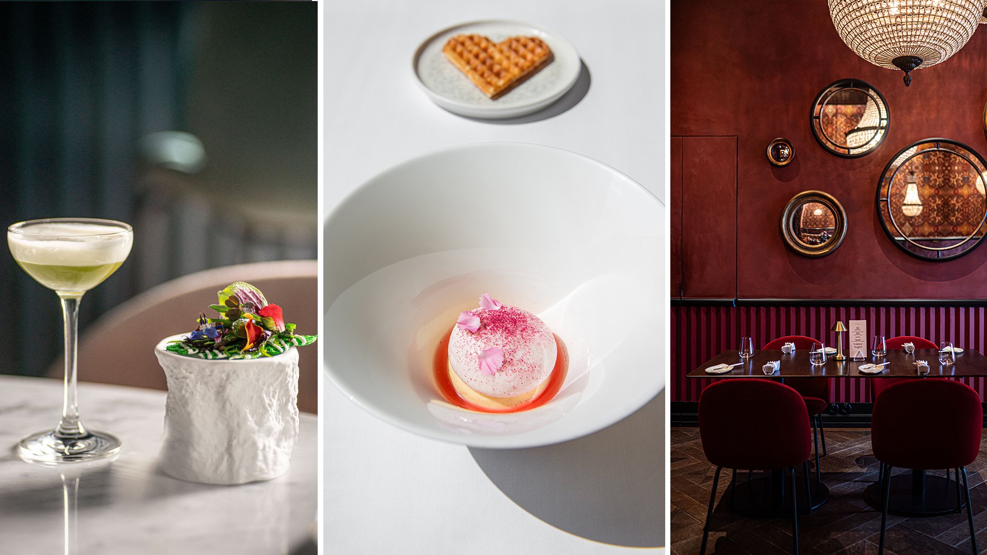 Polens gastronomiska boom – 12 unika restaurangtips