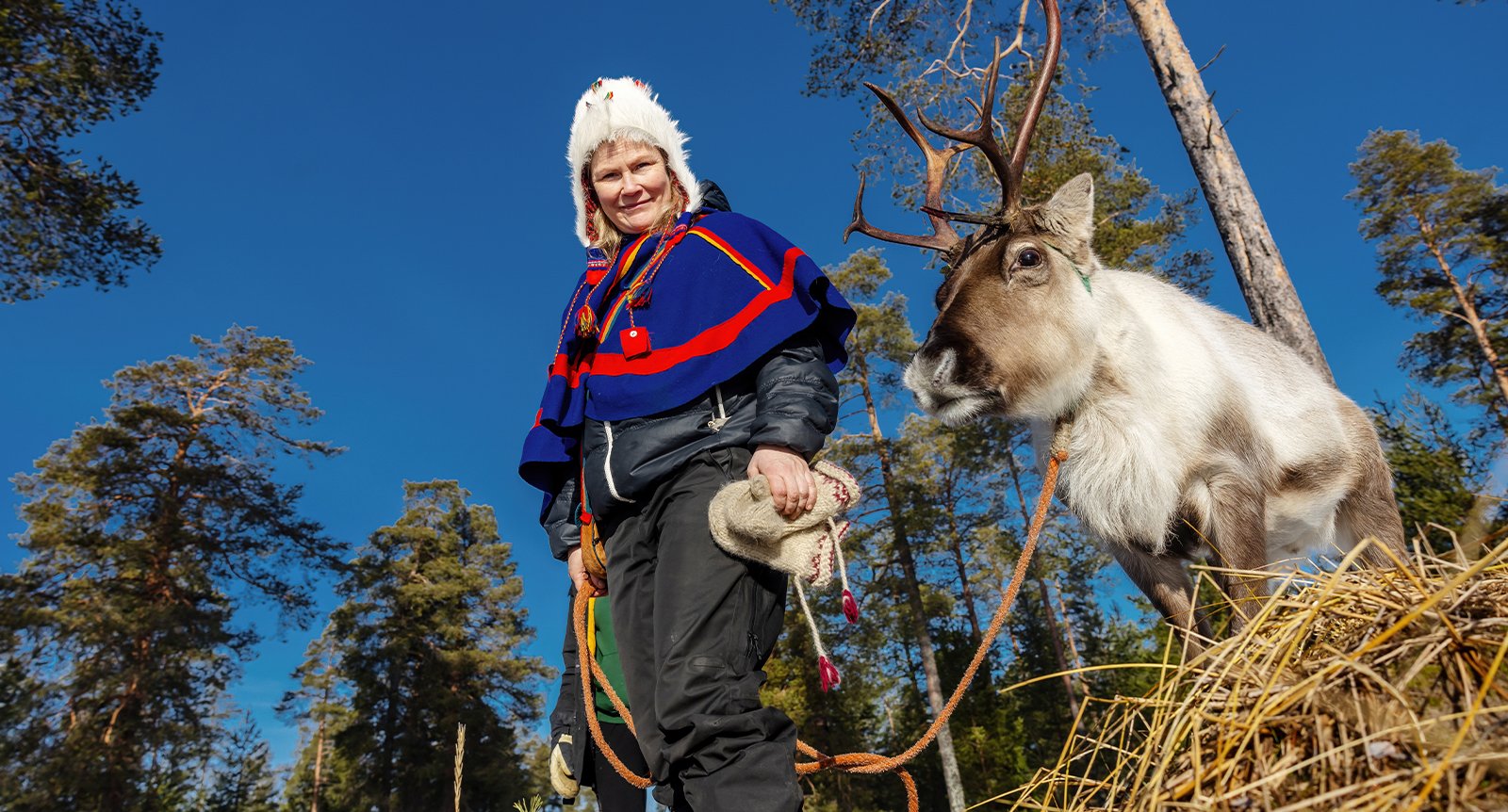 Marita bjuder in till samernas kultur – renar, jojk och gnistrande snö