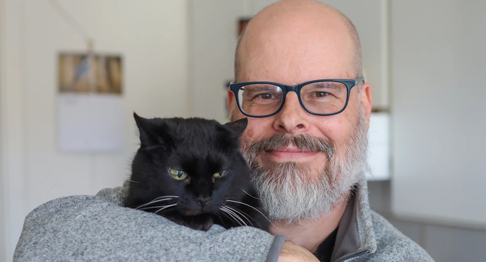 Bokbindaren sadlade om – blev kattvakt: ”Det här är det bästa jobbet jag någonsin haft”