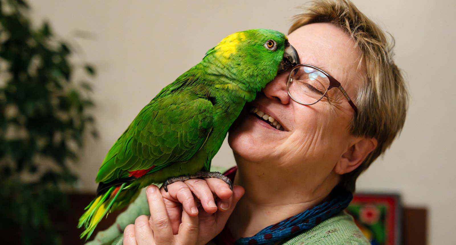 Papegojan Arturo och Julia försonades efter 43 års konflikt: ”Han har lärt mig att se livet med nya ögon”